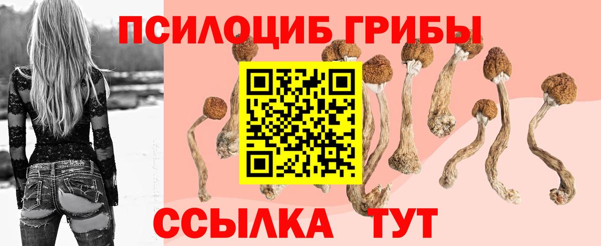 Клин  Псилоцибиновые грибы Psilocybine cubensis  Псилоцибиновые грибы ЛСД  продажа наркотиков  Вход с VPN 